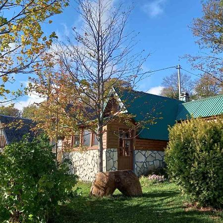 Family Farm Bungalow 자블야크 외부 사진