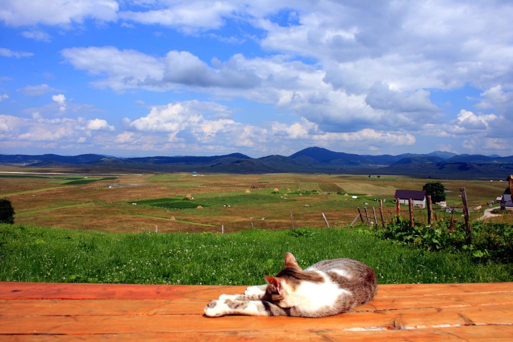 Family Farm Bungalow 자블야크 외부 사진